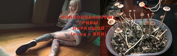 МДПВ Новодвинск