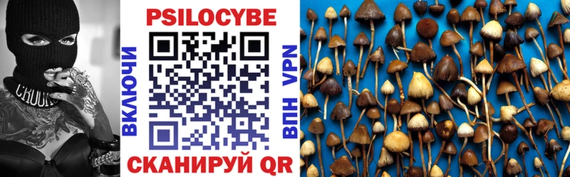 Галлюциногенные грибы Psilocybe  магазин  наркотиков  Артёмовский 